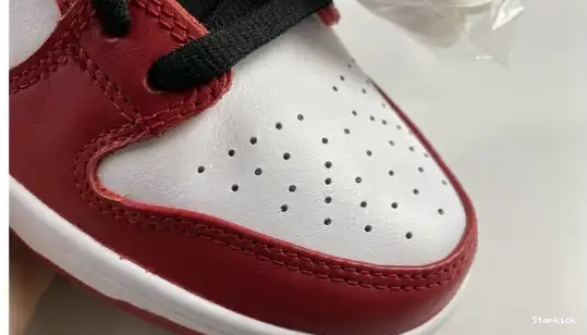 SB BQ6817-600 J-Pack Low Dunk Nike Chicago 0517